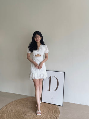 Eyelet Embroidered Cutout Dress / 挖空设计感连衣裙