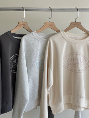 Contrast Embroidered Sweatshirt / 撞色刺绣字母卫衣