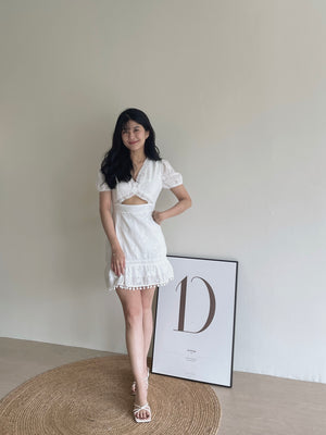 Eyelet Embroidered Cutout Dress / 挖空设计感连衣裙