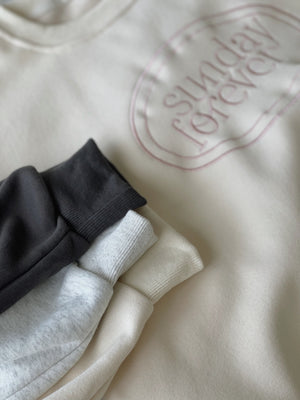 Contrast Embroidered Sweatshirt / 撞色刺绣字母卫衣