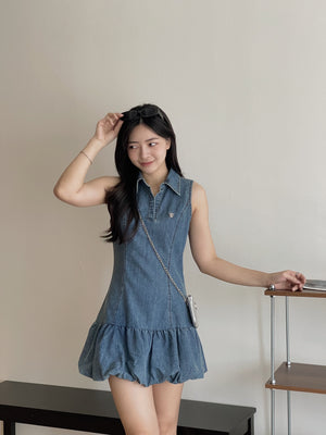 Preppy Collared Denim Dress / 学院风翻领牛仔连衣裙