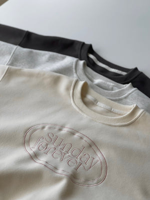 Contrast Embroidered Sweatshirt / 撞色刺绣字母卫衣